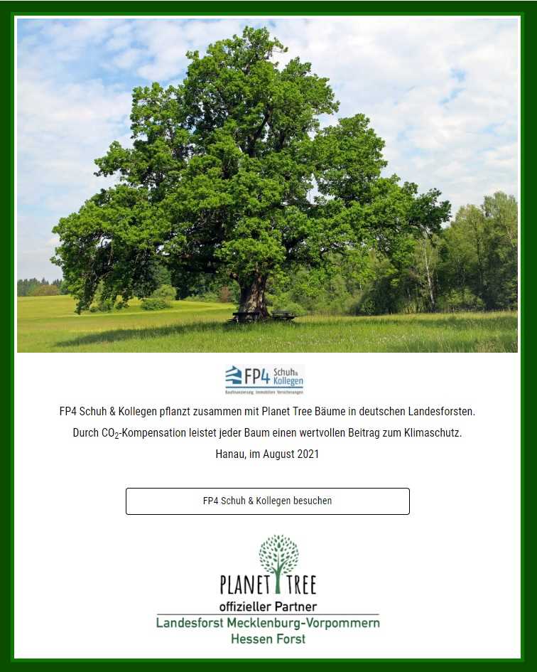 FP4 Schuh&Kollegen pflanzt Bäume mit Planet Tree in deutschen Landesforsten.